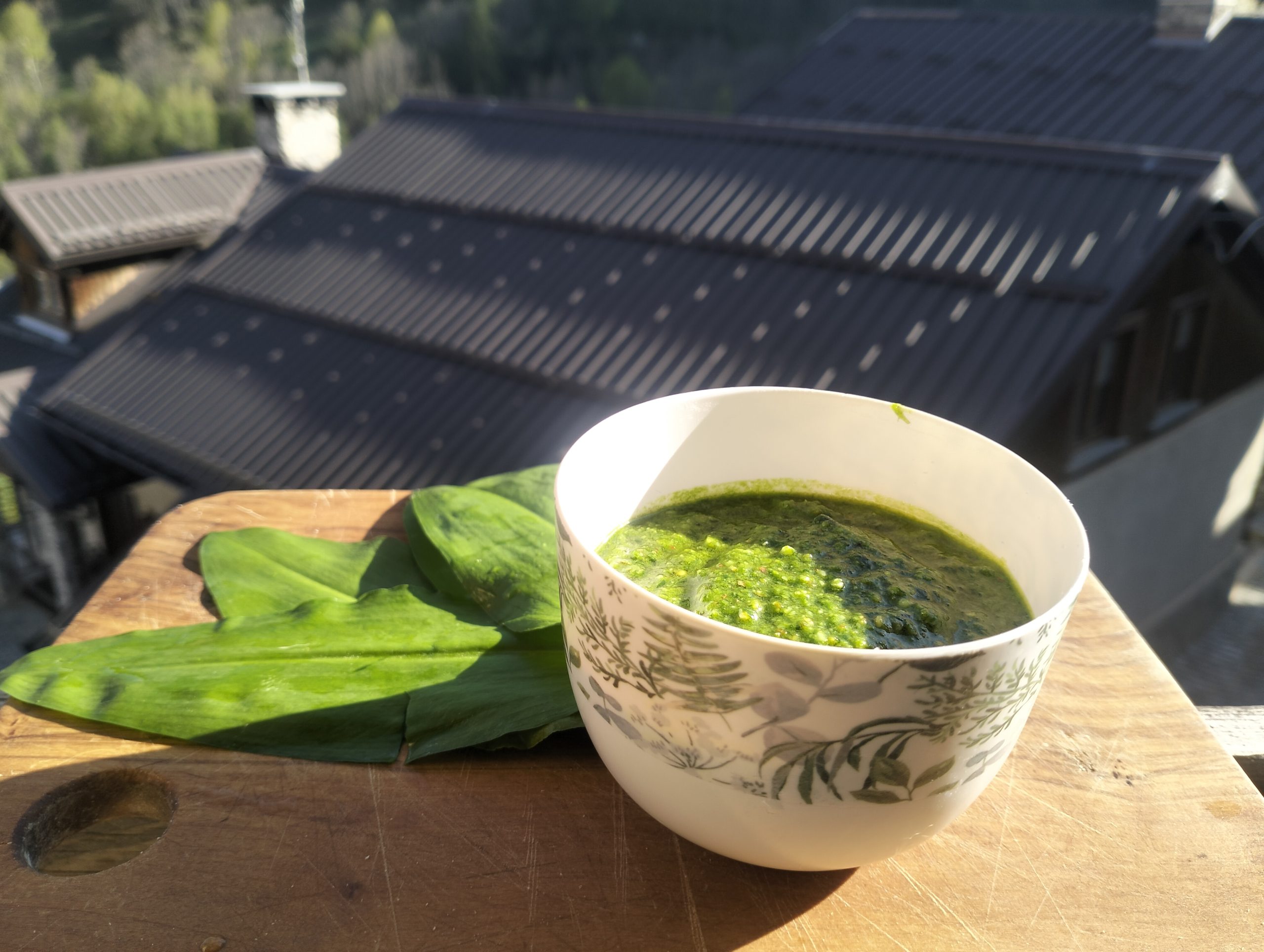 Pesto di aglio orsino