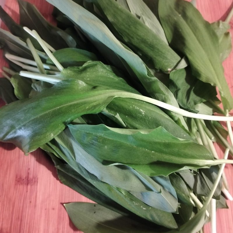 Pesto di aglio orsino