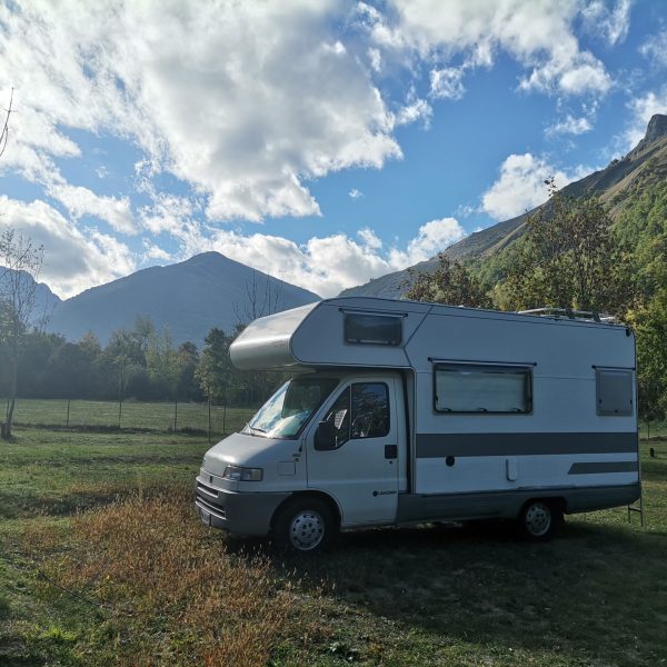 Zampe in viaggio, lavorare viaggiando in camper con due gatti
